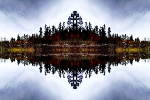 Symmetrical landscape image showing a mirrored reflection of trees and foliage over still water. The composition forms a kaleidoscopic pattern with a central axis, blending the treeline and sky into a balanced, abstract shape.
