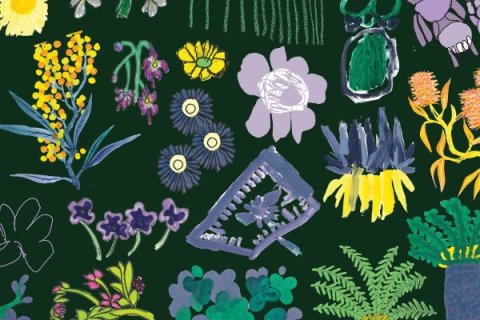Illustrated collage of various flowers and plants arranged across a dark green background. The composition includes hand-drawn blossoms, leaves, and stems in bright colours such as yellow, purple, blue, and pink, with a loose, painterly style.