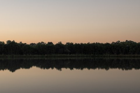 Calm landscape of a lake at sunset with still water reflecting a line of trees along the far shore. The sky transitions from soft orange near the horizon to pale blue above, creating a symmetrical reflection across the water.