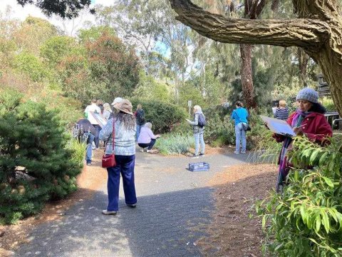 Group of people sketching and observing plants along a garden path surrounded by trees, shrubs, and native vegetation.